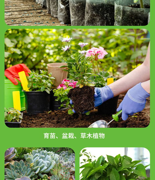 營養土通用種花種菜有機泥土家用綠蘿花卉盆栽多肉種植土大包花土