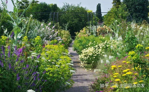 花卉旅游有哪幾種產品形態和開發模式
