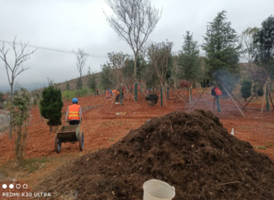 助力綠美云南建設 讓南北大通道更綠更美