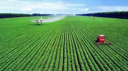 2021年,苗木種植行業(yè)市場(chǎng)現(xiàn)狀及規(guī)模如何 專業(yè)報(bào)告給出答案