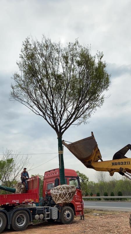 宇濤苗木種植園