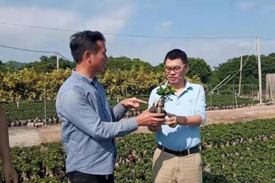 福建花卉技術專家組團聯動服務漳浦、長泰花戶