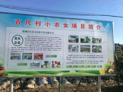 肥城市老城街道百尺村 苗木 蔬菜種植 黃粉蟲養(yǎng)殖 農(nóng)產(chǎn)品深加工配送