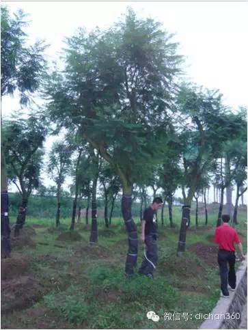 揭秘華潤精品住宅的打造全過程